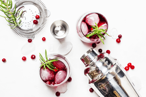 Canal Walk Gin Festival