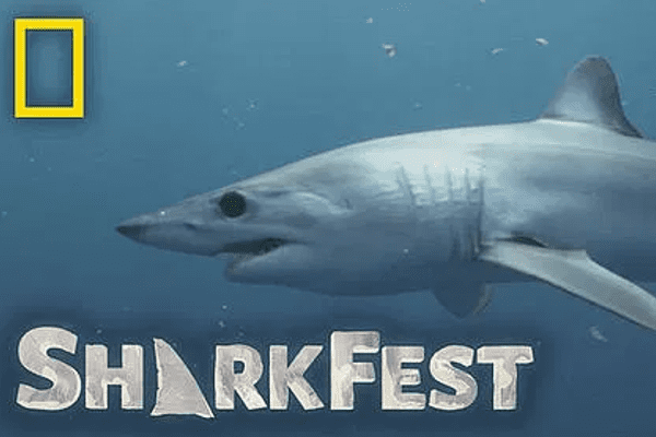 National Geographic and National Geographic Wild Sharkfest