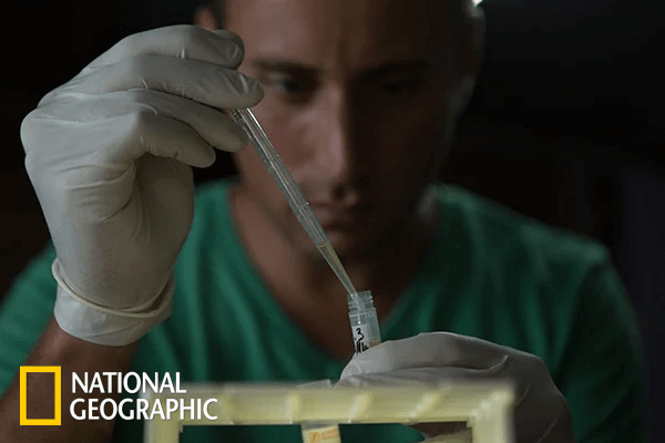 National Geographic Virus Hunters