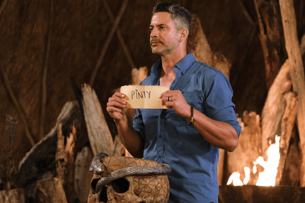 Pinty Leaves SurvivorSA