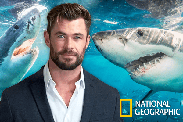 Sharkfest Chris Hemsworth