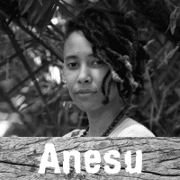Survivor SA Anesu