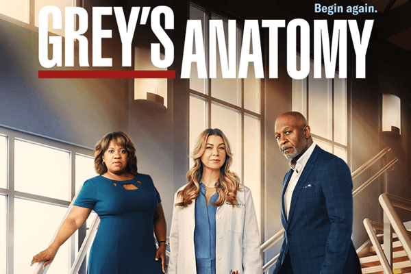 Greys S19