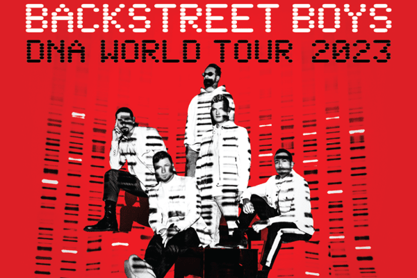 BSB DNA