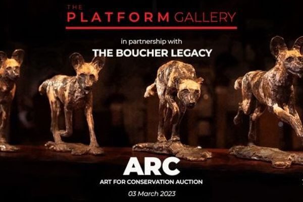 The Platform Gallery