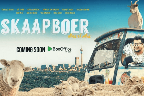 Skaapboer
