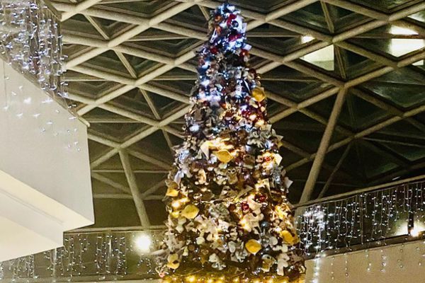 MA Charri Tree