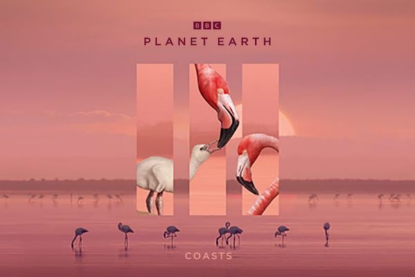 Planet Earth III