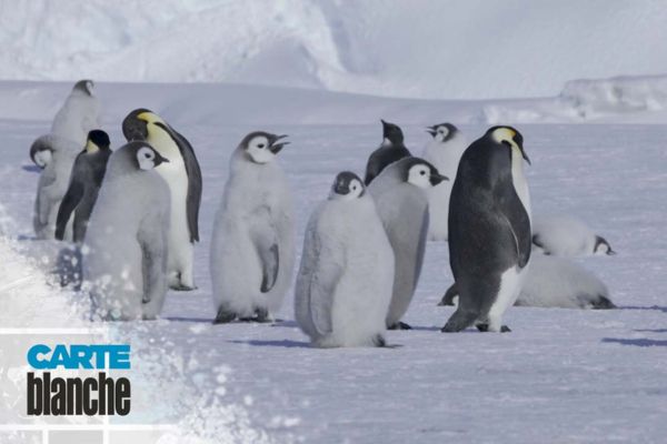 CB Antarctica's Hidden Clues