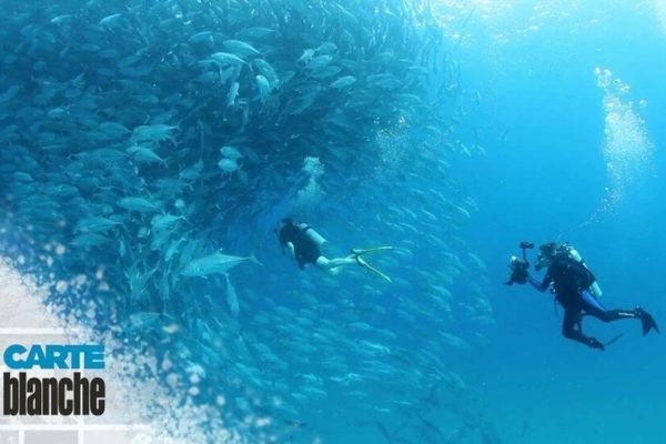CB Aquanaut to Activist