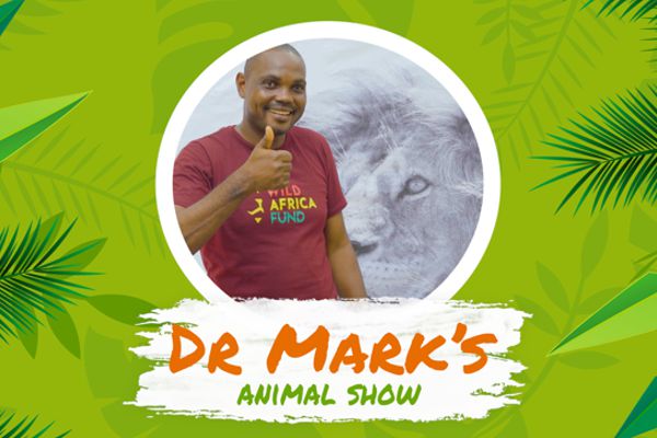 Dr Mark