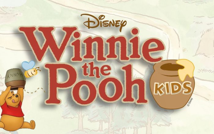 PT Disney Winnie The Pooh Kids