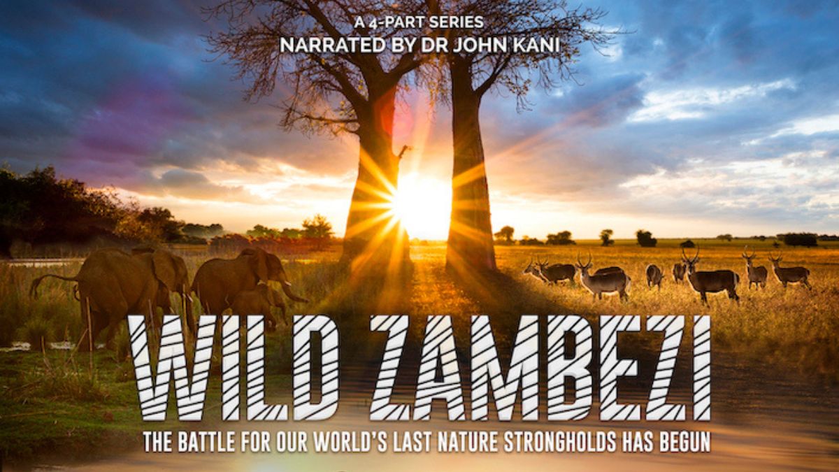 Wild Zambezi