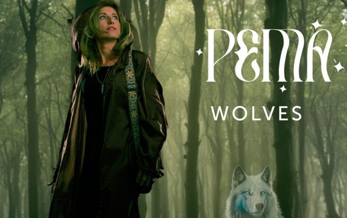 PEMA Wolves