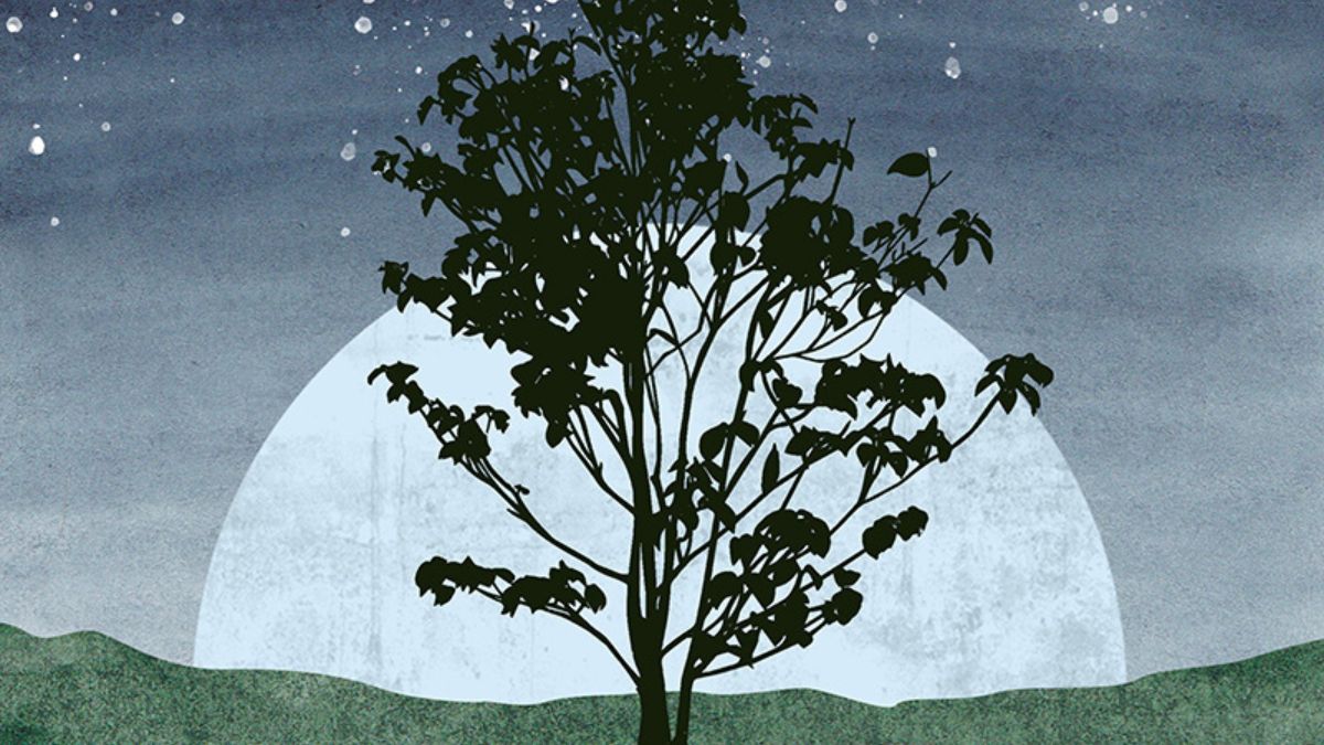 Basson Laas Worth Living