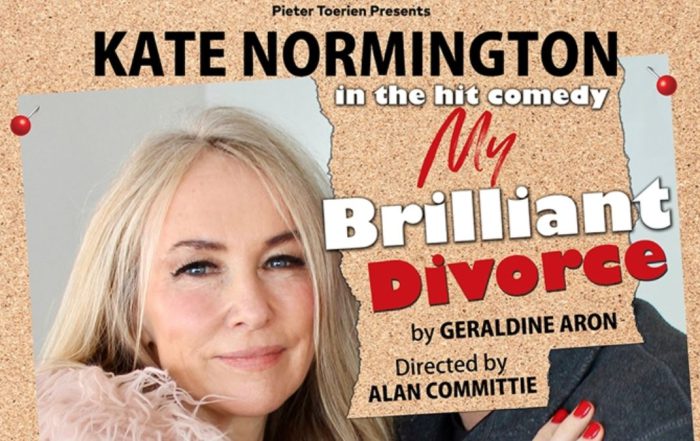 My Brilliant Divorce