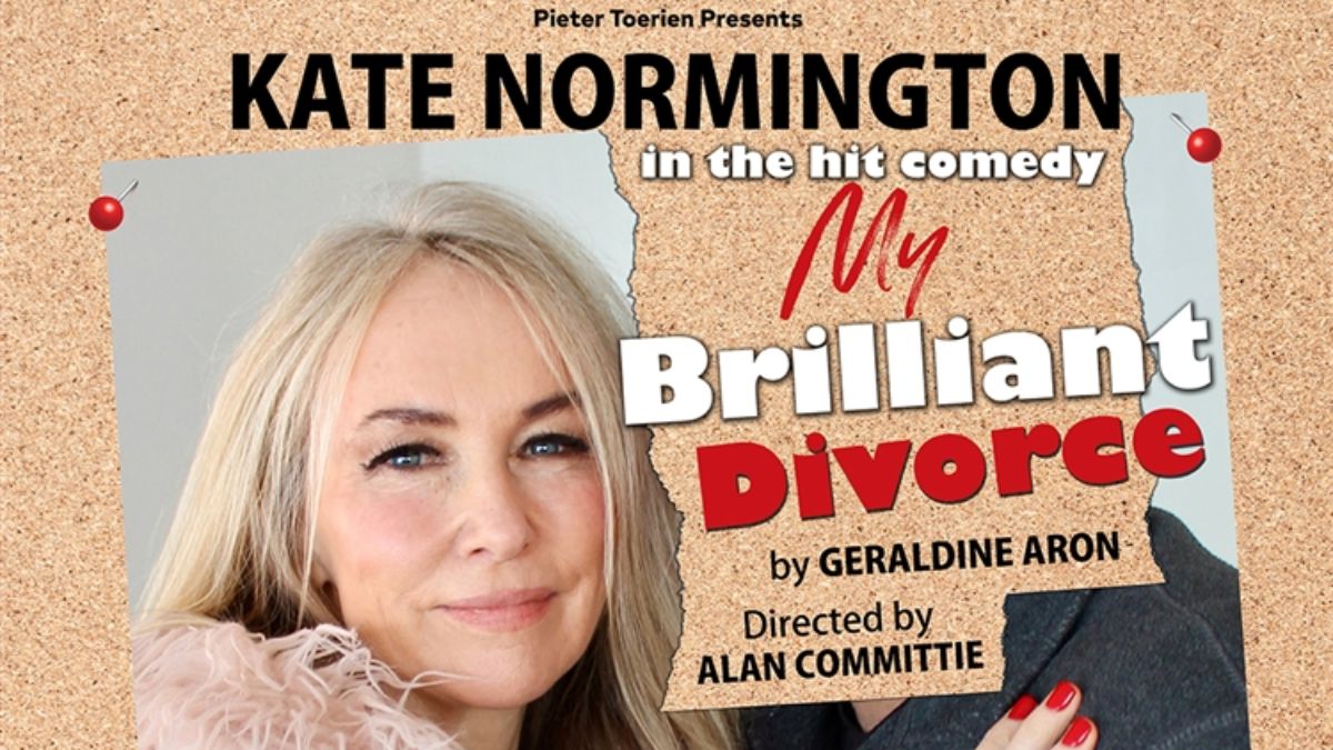 My Brilliant Divorce