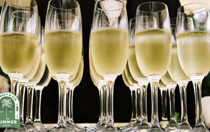 Bubbly & Gin Summer Party