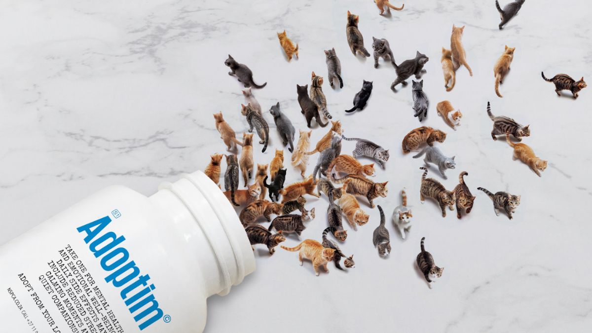 NSPCA Adoptim A Furry Prescription Campaign