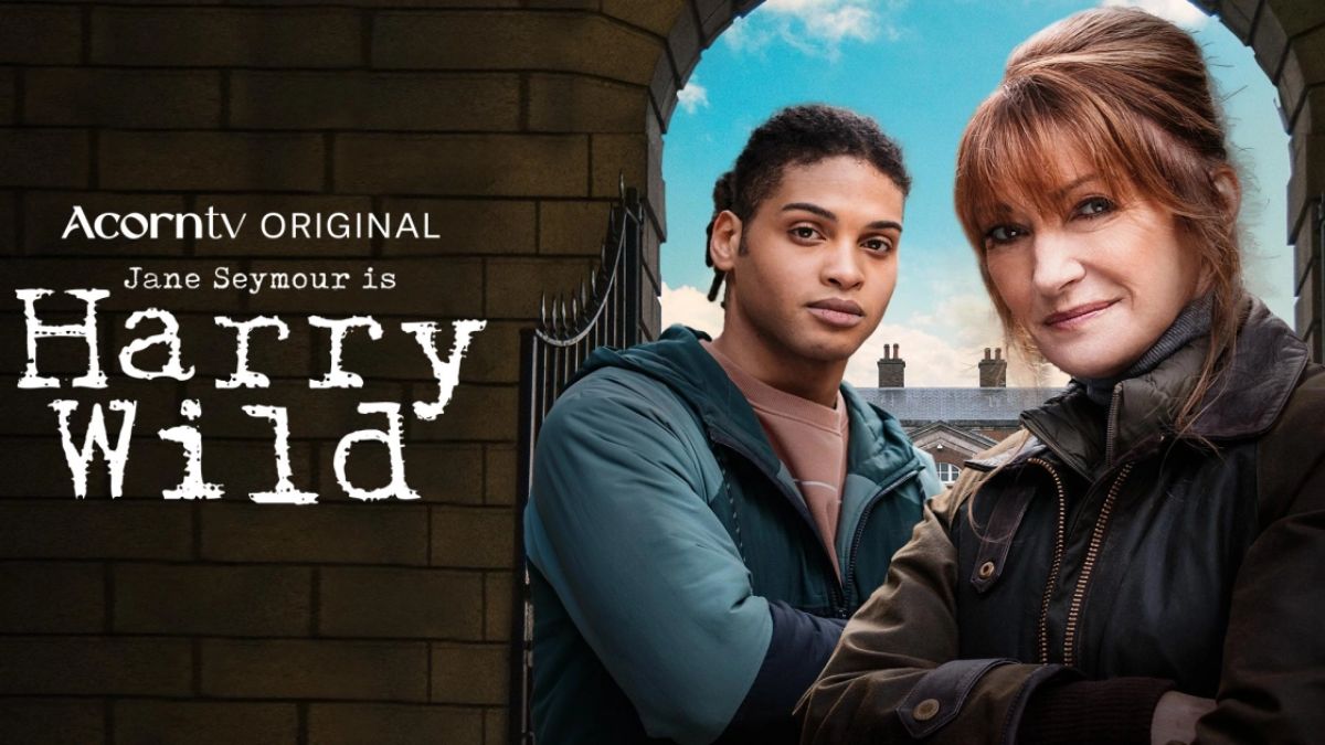 Harry Wild Series Season 3