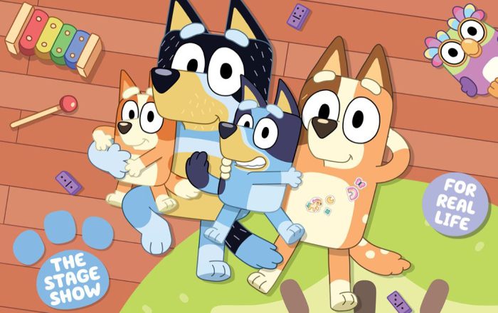 Bluey’s Big Play south africa