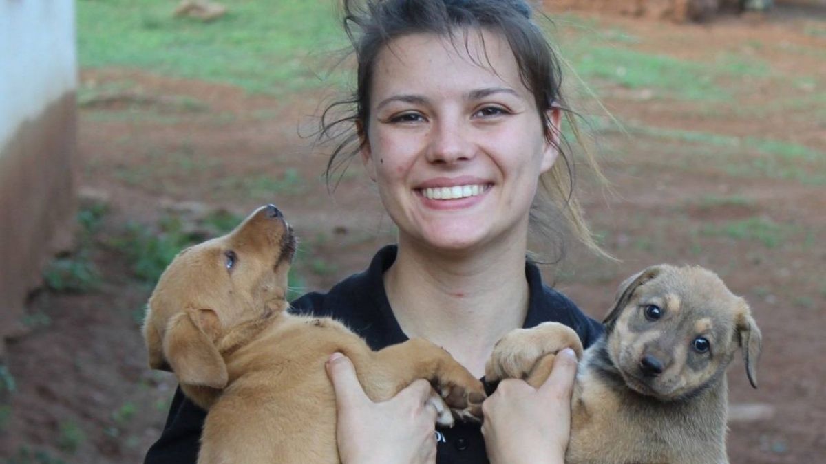 Good Morning Angels Dr Annarie Grelying WanderVet