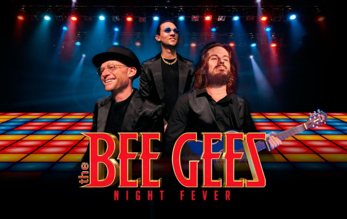 The Bee Gees Night Fever Joburg Theatre