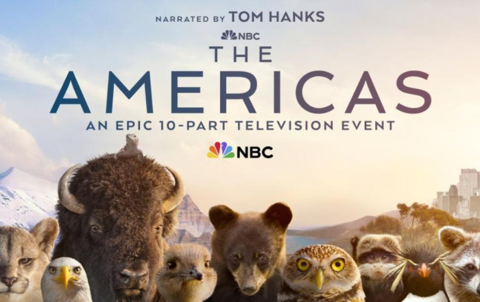 M-Net The Americas