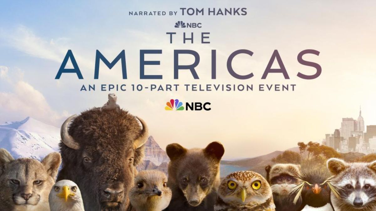M-Net The Americas