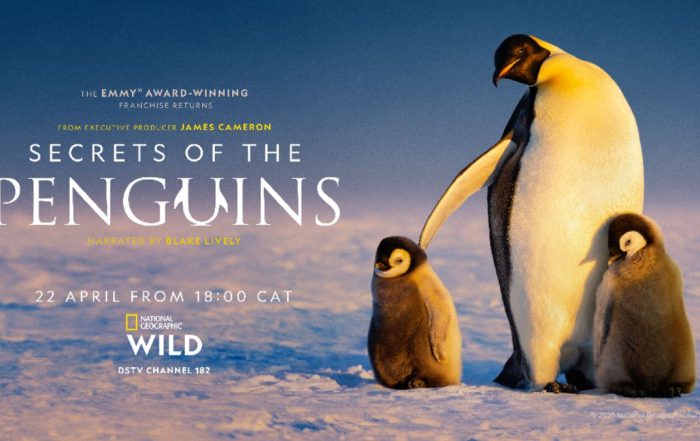 Secrets of the Penguins on National Geographic