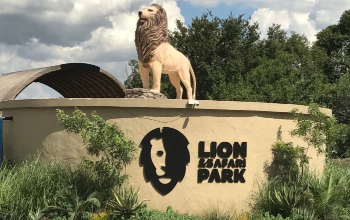 The Lion & Safari Park