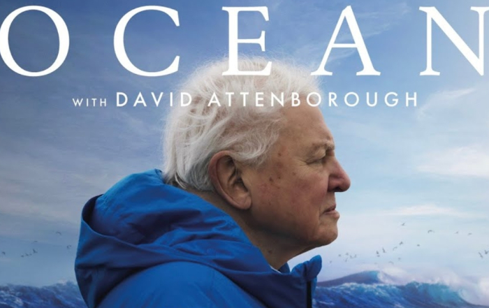 Ster-Kinekor Ocean with David Attenborough