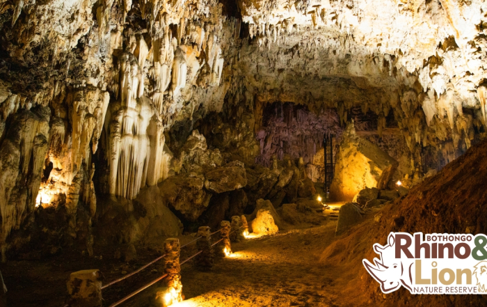Bothongo WonderCave