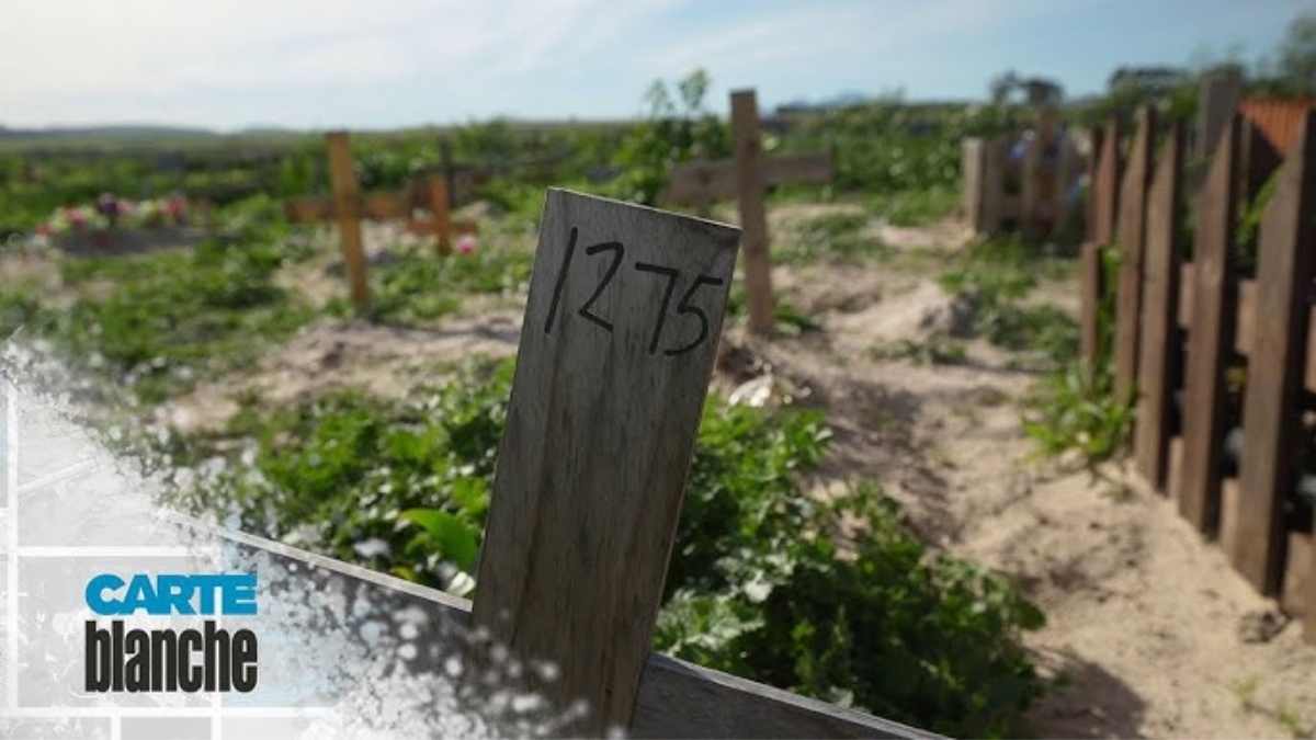 Carte Blanche Burried Lies