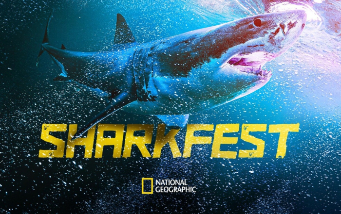 National Geographic Wild Sharkfest