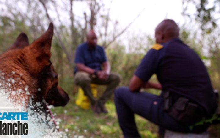 Carte Blanche K9 Bond