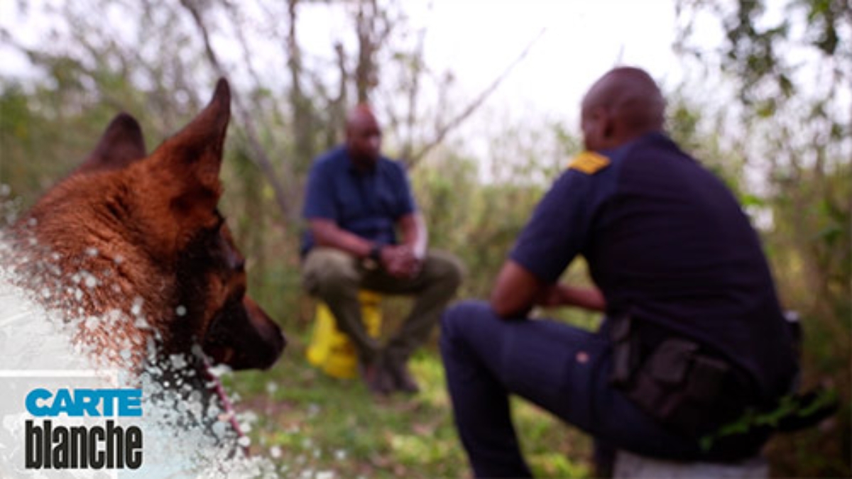 Carte Blanche K9 Bond