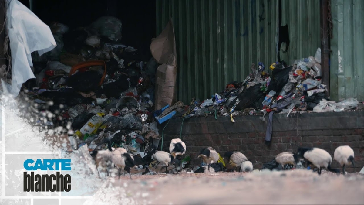 Carte Blanche Knysna Divided