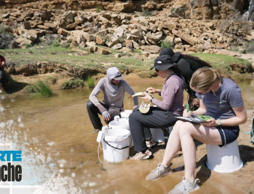 Carte Blanche Investigates This Sunday