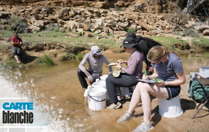 Carte Blanche Saving Sandfish