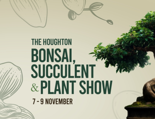 Discover Dazzling Blooms and Blossoms at Killarney Mall