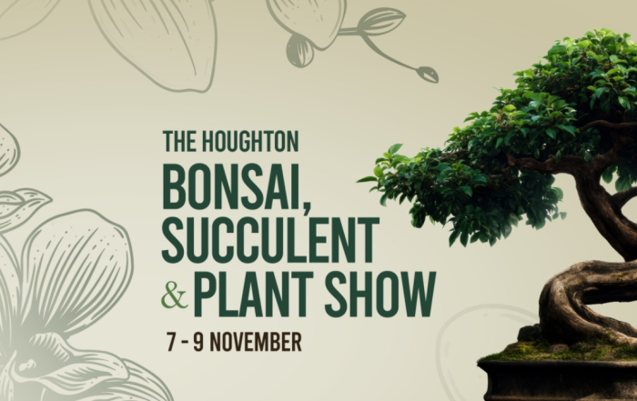 Killarney Mall Houghton Bonsai Succulent and Plant Show