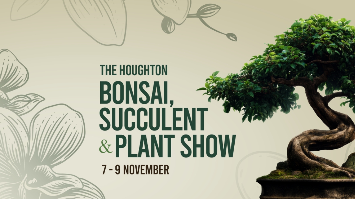 Killarney Mall Houghton Bonsai Succulent and Plant Show