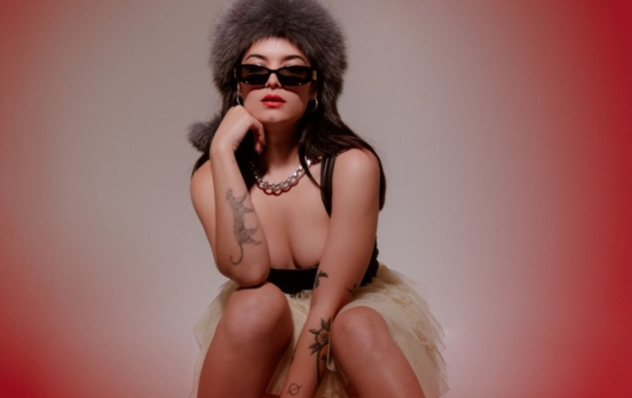 Pixie Whip For The Moment