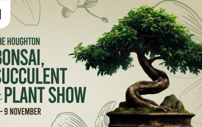 The Houghton Bonsai, Succulent & Plant Show
