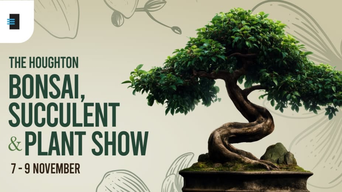 The Houghton Bonsai, Succulent & Plant Show