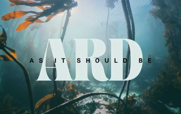 Ard Matthews As It Should Be