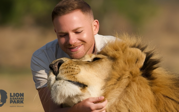 Shandor Larenty Lion & Safari Park