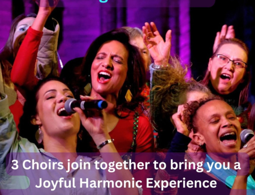 A Christmas Concert in Cape Town to Lift Your Spirit