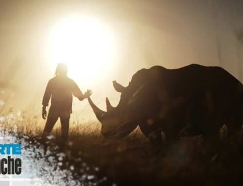 Carte Blanche Investigates This Sunday